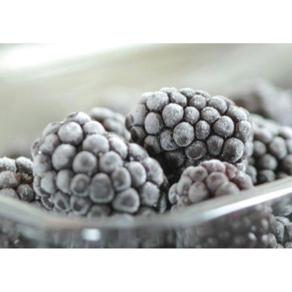 Встраиваемый холодильник Asko RF31831i