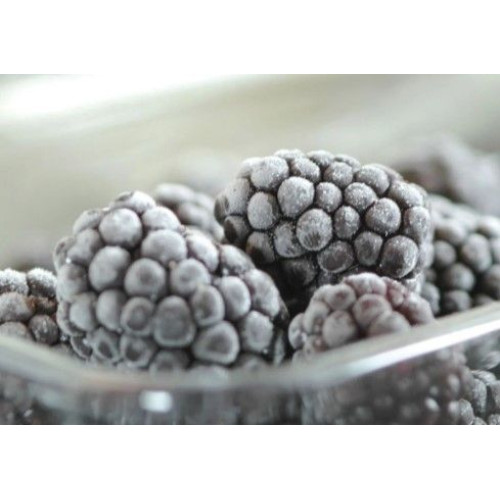 Встраиваемый холодильник Asko RF31831i