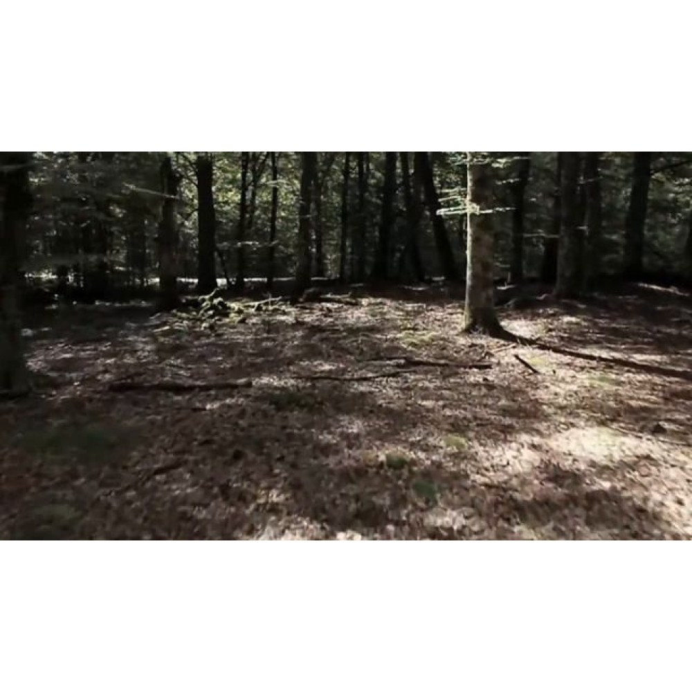 Варочная панель Asko HID754MFC