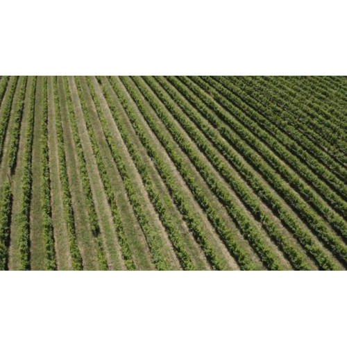 Винный холодильник Vinosafe VSF32AM