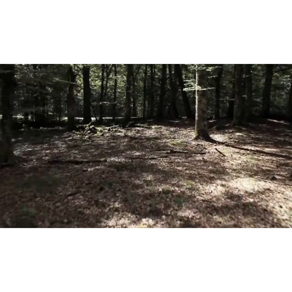 Комплект Omoikiri Nagano-CA-P + Pure drop Lite (арт.4217.8028P)